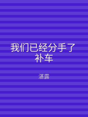 我们已经分手了 补车
