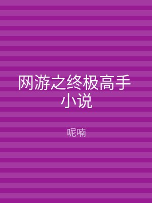 网游之终极高手 小说