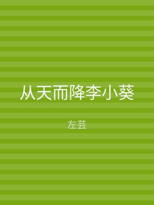 从天而降李小葵