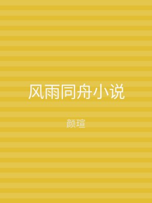 风雨同舟小说