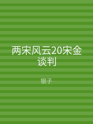 两宋风云20宋金谈判