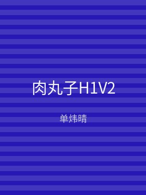 肉丸子H1V2