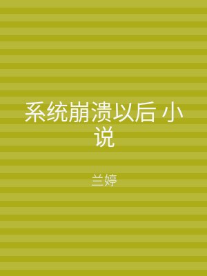 系统崩溃以后 小说