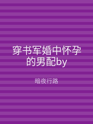 穿书军婚中怀孕的男配by