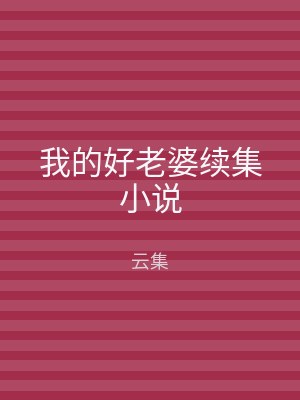 我的好老婆续集小说