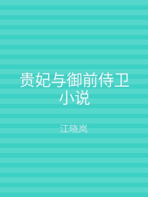 贵妃与御前侍卫小说
