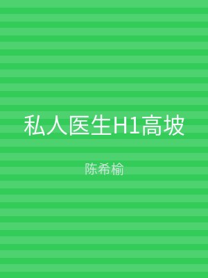 私人医生H1高坡