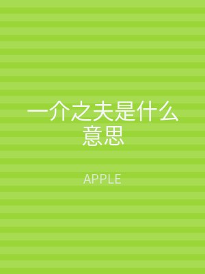 一介之夫是什么意思