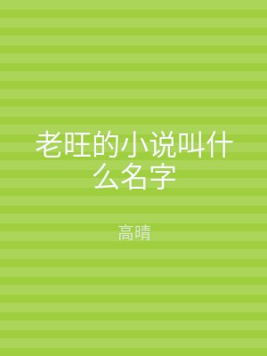 老旺的小说叫什么名字
