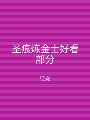 圣痕炼金士好看部分