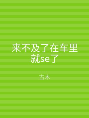 来不及了在车里就se了