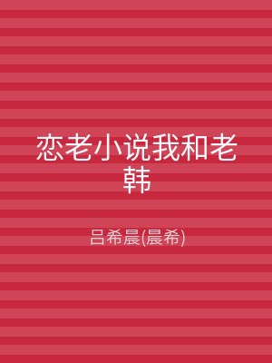 恋老小说我和老韩