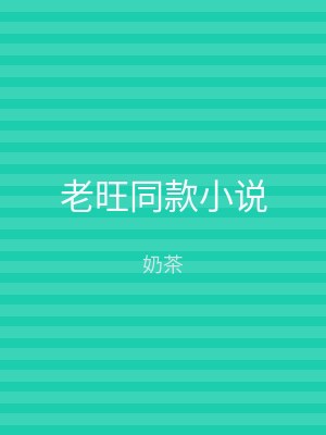 老旺同款小说