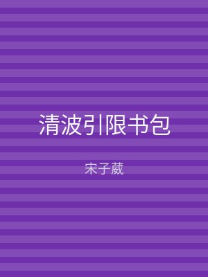清波引限书包