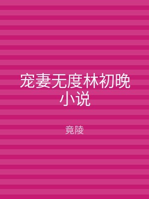 宠妻无度林初晚小说