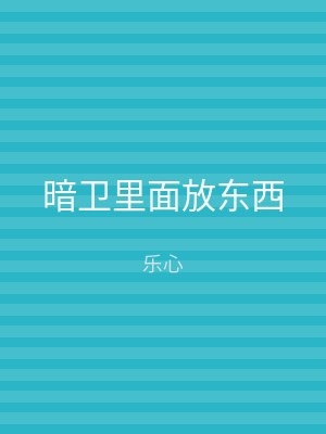 暗卫里面放东西