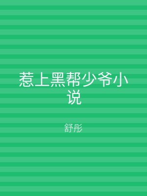 惹上黑帮少爷小说