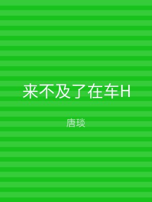 来不及了在车H