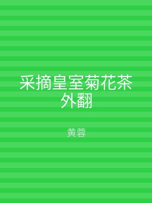 采摘皇室菊花茶外翻