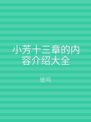小芳十三章的内容介绍大全