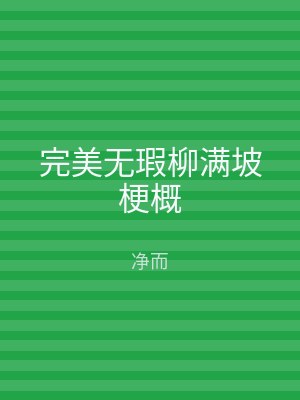完美无瑕柳满坡梗概