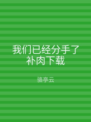 我们已经分手了补肉下载