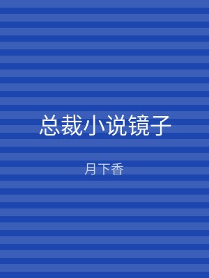 总裁小说镜子