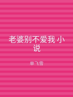 老婆别不爱我 小说