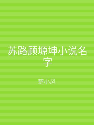 苏路顾塬坤小说名字