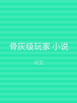 骨灰级玩家 小说