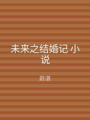 未来之结婚记 小说