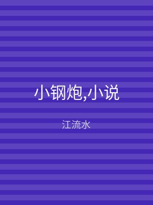 小钢炮,小说