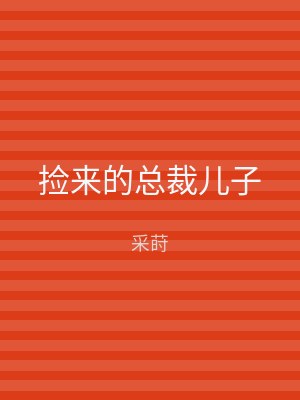 捡来的总裁儿子