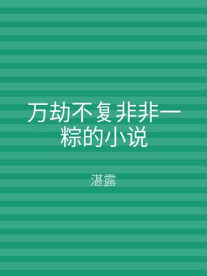 万劫不复非非一粽的小说