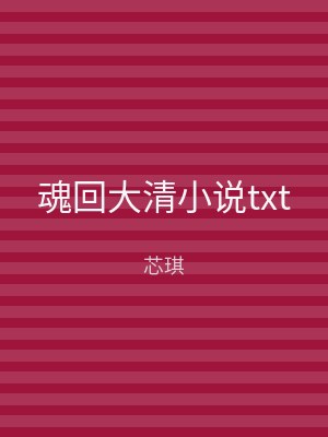魂回大清小说txt
