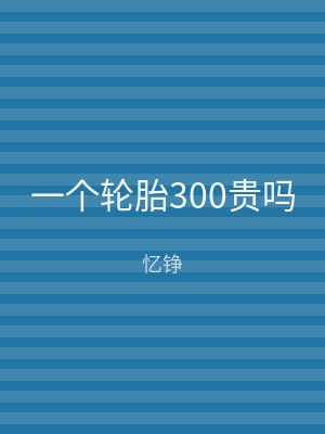 一个轮胎300贵吗