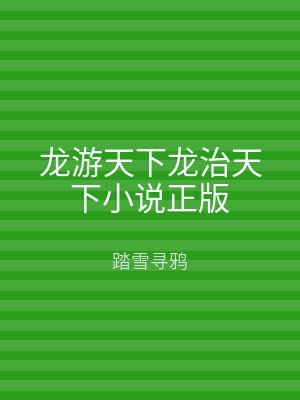 龙游天下龙治天下小说正版