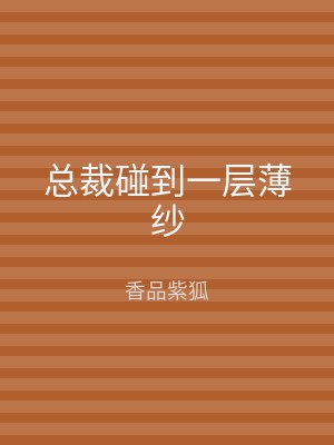 总裁碰到一层薄纱