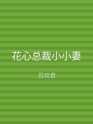 花心总裁小小妻