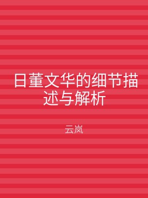 日董文华的细节描述与解析