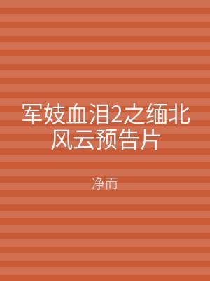 军妓血泪2之缅北风云预告片
