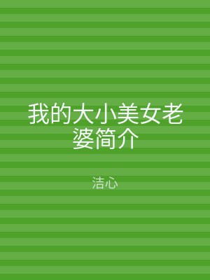 我的大小美女老婆简介