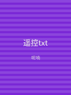遥控txt