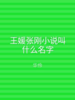 王媛张刚小说叫什么名字