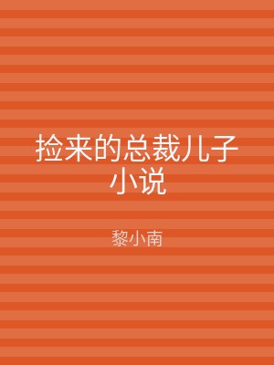 捡来的总裁儿子小说