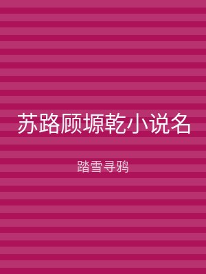 苏路顾塬乾小说名