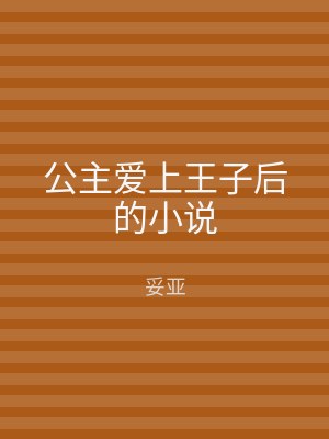 公主爱上王子后的小说