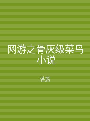 网游之骨灰级菜鸟 小说