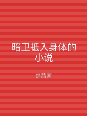 暗卫抵入身体的小说
