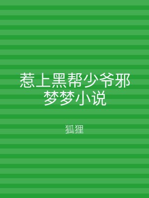 惹上黑帮少爷邪梦梦小说